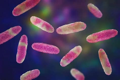 Know Your Klebsiella Pneumoniae: A Microscopic Marvel Exhibiting Remarkable Adaptability and Stealth!